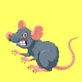 RAT
