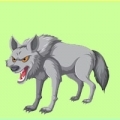 LOUP
