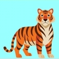 TIGRE
