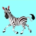 ZEBRE
