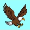 AIGLE
