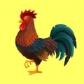 COQ

