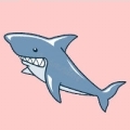 REQUIN
